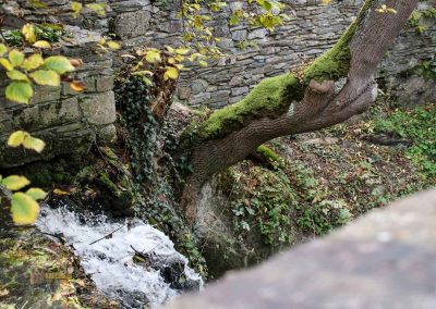Burg Okoř bei Prag 84 dorf okor bei prag 2165