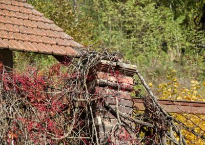 Burg Okoř bei Prag 85 dorf okor bei prag 2184