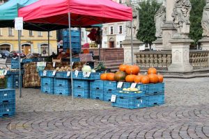 karlsplatz in kolin 1515