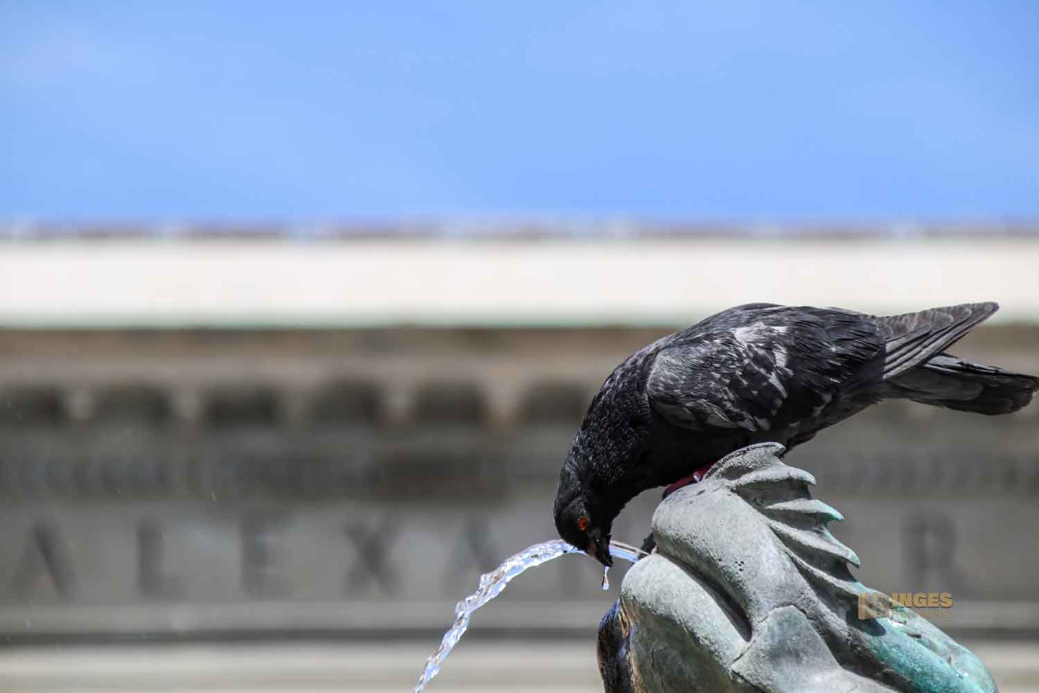 brunnen in florenz 8114 brunnen in florenz 8114