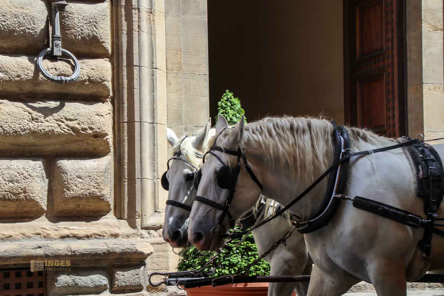 stadtrundfahrten in florenz 8211 stadtrundfahrten in florenz 8211