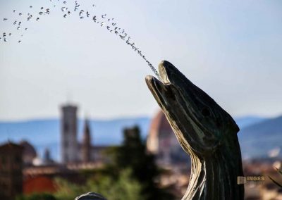 brunnen im rosengarten in florenz 5457