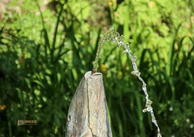 brunnen im rosengarten von florenz 5389