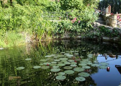 brunnen im rosengarten von florenz 5391