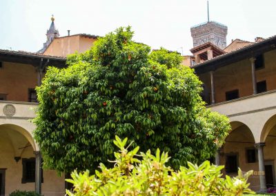 kreuzgang von san lorenzo 4323