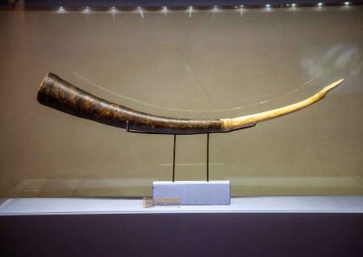 museum in der krypta von san lorenzo florenz 0128