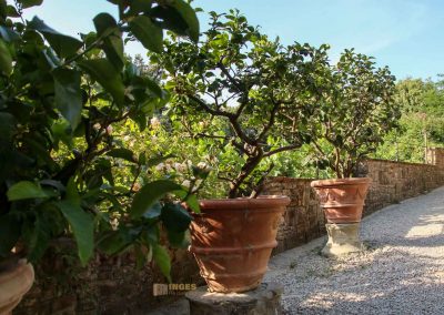 rosengarten in florenz 5402