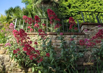 rosengarten in florenz 5409