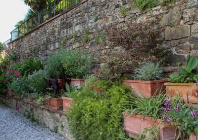 rosengarten in florenz 5417