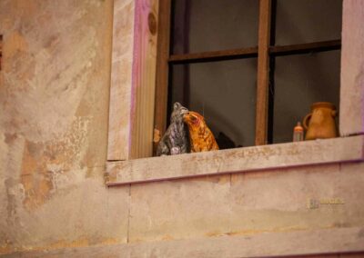 In der Kirche San Filippo Neri in San Firenze in Florenz 36 krippe sakramentskapelle kirche di san firenze florenz 0029