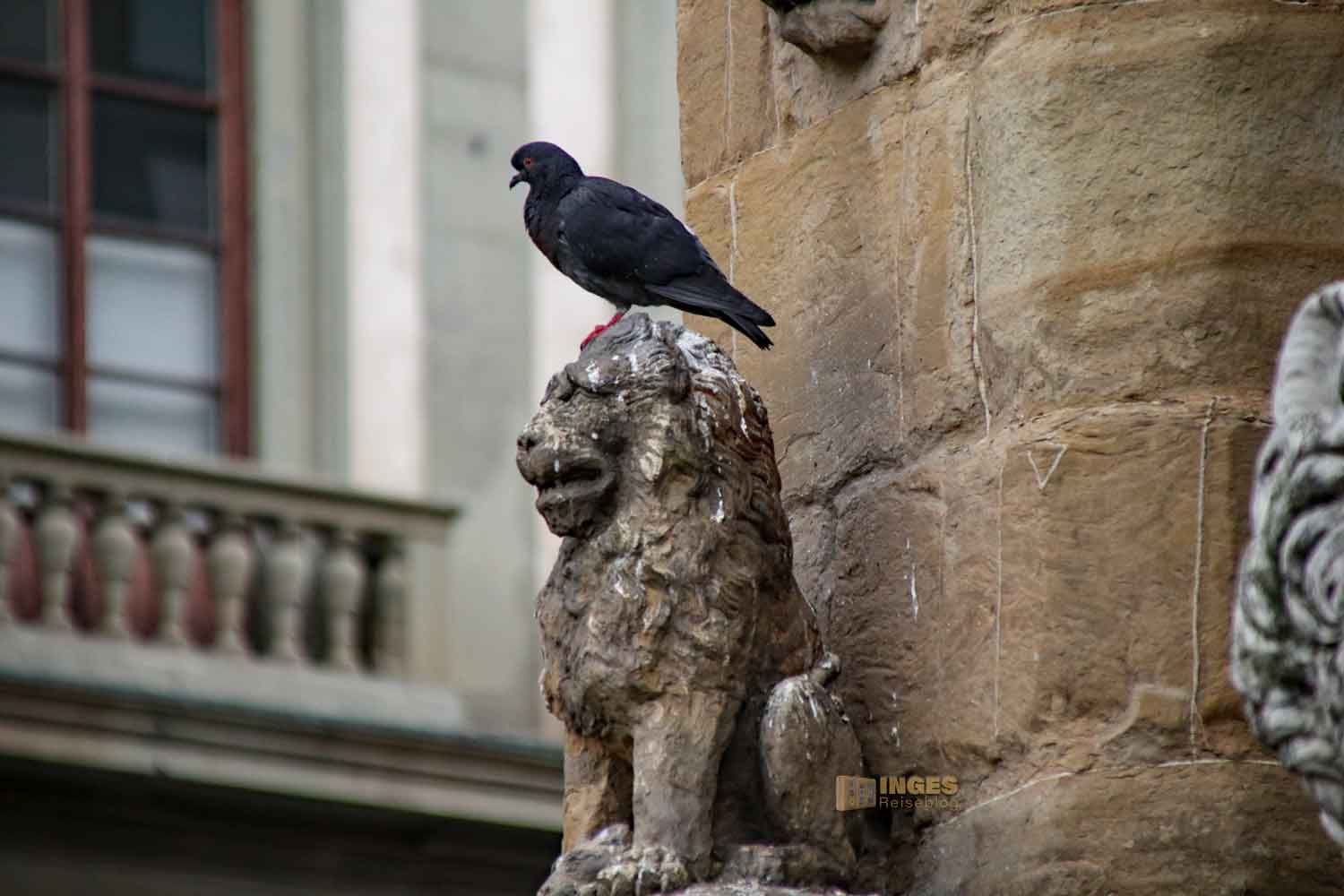 loewe loggia dei lanzi florenz 8998 loewe loggia dei lanzi florenz 8998