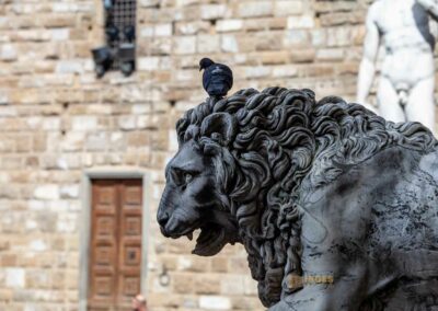 Die Loggia dei Lanzi auf der Piazza della Signoria in Florenz 41 medici lowew loggia dei lanzi florenz 0059