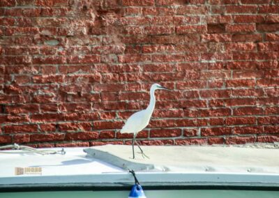 Santa Maria Assunta dei Gesuiti und das Ex-Convent in Venedig 39 kaffeepause am rio dei gesuiti in venedig 9682