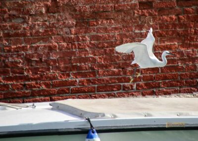 Santa Maria Assunta dei Gesuiti und das Ex-Convent in Venedig 40 kaffeepause am rio dei gesuiti in venedig 9683