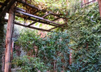 garten spanische synagoge venedig 4268