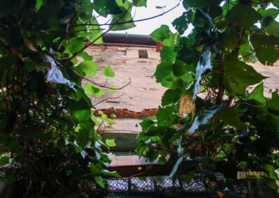 garten spanische synagoge venedig 4274