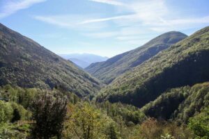 Lago Maggiore Valle Cannobina 2087