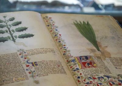 bibliothek und ausstellung scuola grande di san marco venedig_5128