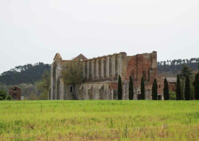 Die Einsiedelei von Montesiepi in der Toskana 15 abtei san galgano toskana_5729