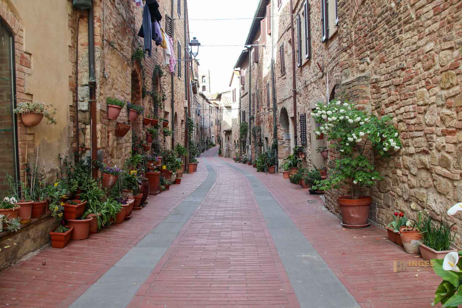 via san niccolo casole d'elsa toskana_6288 via san niccolo casole delsa toskana 6288