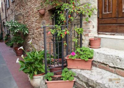 Ein Bummel durch Casole d'Elsa in der Toskana 19 via san niccolo casole d'elsa toskana_6289