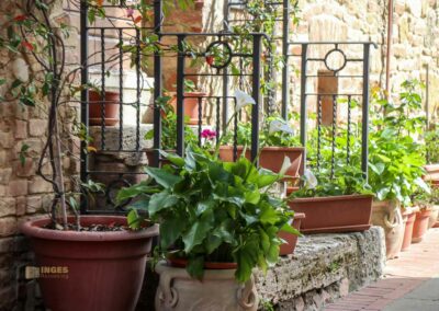 Ein Bummel durch Casole d'Elsa in der Toskana 22 via san niccolo casole d'elsa toskana_6300