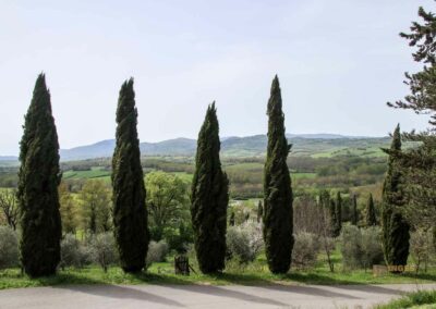 Die Einsiedelei von Montesiepi in der Toskana 2 weg zur einsiedelei montesiepi_6182