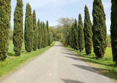 Die Einsiedelei von Montesiepi in der Toskana 1 weg zur einsiedelei montesiepi_A0474