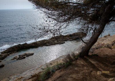 Überwintern in Calpe (Costa Blanca) - Woche 2 34 cala pinets costa blanca_0063