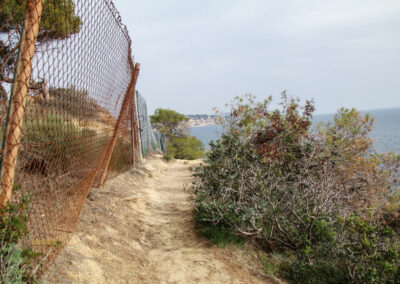 Überwintern in Calpe (Costa Blanca) - Woche 2 38 cala pinets costa blanca_1995