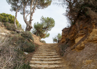 Überwintern in Calpe (Costa Blanca) - Woche 2 31 cala pinets costa blanca_2013