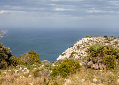 cap san antonio 0067