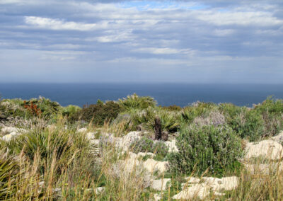 cap san antonio 3578