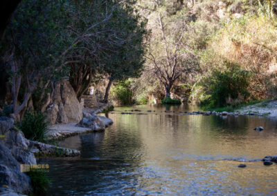 Überwintern in Calpe (Costa Blanca) - Woche 2 79 fonts de algar_0060
