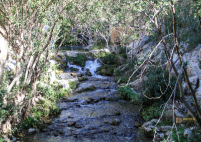 Überwintern in Calpe (Costa Blanca) - Woche 2 73 fonts de algar_2398