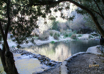 Überwintern in Calpe (Costa Blanca) - Woche 2 80 fonts de algar_2533