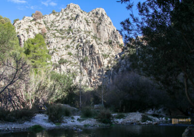 Überwintern in Calpe (Costa Blanca) - Woche 2 81 fonts de algar_2547