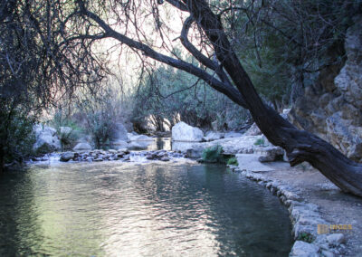 Überwintern in Calpe (Costa Blanca) - Woche 2 82 fonts de algar_2574