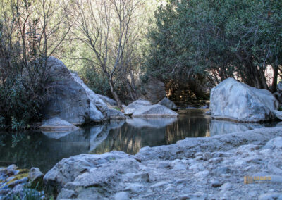 Überwintern an der Costa Blanca - mein Erlebnisbericht 84 fonts de algar_2586