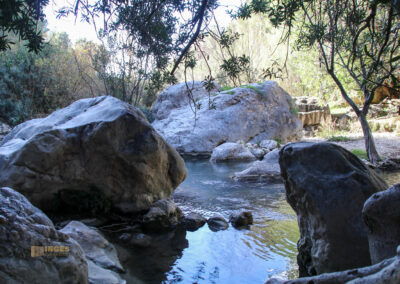 Überwintern in Calpe (Costa Blanca) - Woche 2 84 fonts de algar_2617