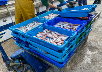 Überwintern in Calpe (Costa Blanca) - Woche 2 25 hafen calpe_0295