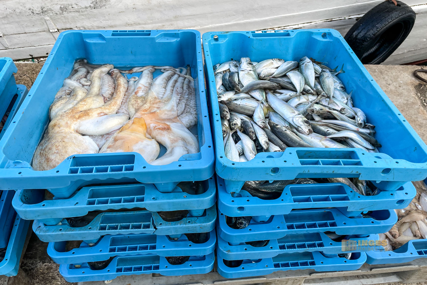 hafen calpe_0300 hafen calpe 0300