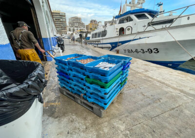 Überwintern an der Costa Blanca - mein Erlebnisbericht 74 hafen calpe_0308