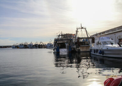 hafen calpe_0815