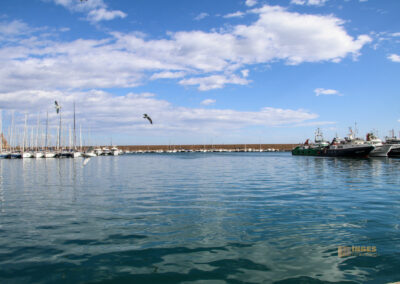 hafen von xabia_3419