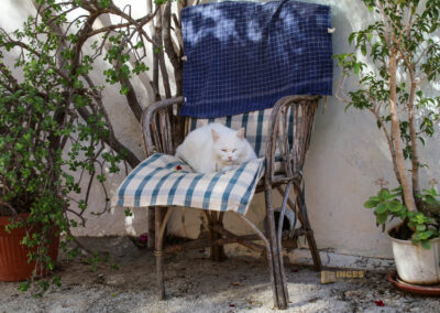 Überwintern in Calpe (Costa Blanca) - Woche 2 99 historische altstadt von finestrat_2850