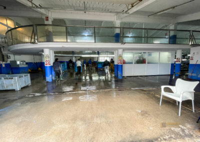 Überwintern in Calpe (Costa Blanca) - Woche 2 27 lonja pescatore calpe_0309