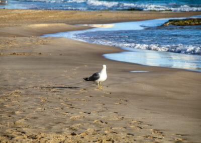 platja del arenal-bol calpe_0162