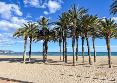 Überwintern an der Costa Blanca - mein Erlebnisbericht 90 strand von villajoyosa_0448