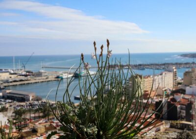 blicke von der burg von denia_4190